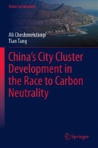 Ali Cheshmehzangi, Tian Tang - China's City Cluster Development in the Race to Carbon Neutrality