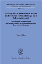 Nicolas Schlüter - Aufsteigende Sicherheiten einer GmbH im System von Kapitalerhaltungs- und Solvenzschutzrecht.