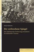 Sonja Ammann - Der zerbrochene Spiegel