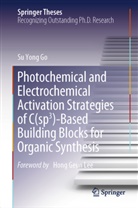 Su Yong Go - Photochemical and Electrochemical Activation Strategies of C(sp3)-Based Building Blocks for Organic Synthesis