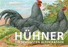 Anaconda Verlag, Anaconda Verlag - Postkarten-Set Hühner
