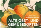 Anaconda Verlag, Anaconda Verlag - Postkarten-Set Alte Obst- und Gemüsesorten