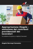 Angelo Berrospi Gonzales - Appropriazione illegale - omissione dei contributi previdenziali dei lavoratori
