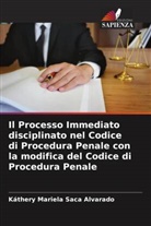Káthery Mariela Saca Alvarado - Il Processo Immediato disciplinato nel Codice di Procedura Penale con la modifica del Codice di Procedura Penale