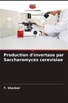 T. Shankar - Production d'invertase par Saccharomyces cerevisiae
