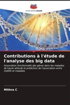 Mithra C - Contributions à l'étude de l'analyse des big data