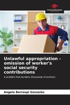 Angelo Berrospi Gonzales - Unlawful appropriation - omission of worker's social security contributions