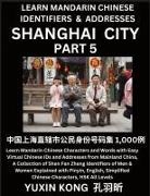 Yuxin Kong - Shanghai City of China (Part 5)