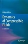 Oleksandr Girin - Dynamics of Compressible Fluids