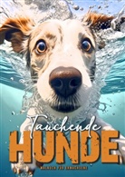 Musterstück Grafik, Monsoon Publishing - Tauchende Hunde Malbuch für Erwachsene