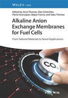 Bejoy Francis, Flavio Grynszpan, Flavio Grynszpan et al, Alex Schechter, Jince Thomas, Sabu Thomas - Alkaline Anion Exchange Membranes for Fuel Cells