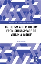 Perry Meisel, Meisel Perry - Criticism After Theory From Shakespeare to Virginia Woolf