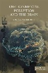 Sultan Meo - Environmental Pollution and the Brain