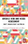Kristina K. Childs, Christopher J. Sullivan, Christopher J. Childs Sullivan, Sullivan Christopher J. - Juvenile Risk and Needs Assessment