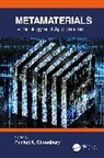 Pankaj K. Choudhury, Pankaj K. Choudhury - Metamaterials