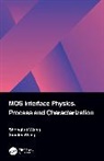 Shengkai Wang, Shengkai Wang Wang, Xiaolei Wang, Wang Xiaolei - Mos Interface Physics, Process and Characterization