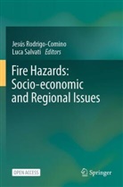 Jesús Rodrigo-Comino, Salvati, Luca Salvati - Fire Hazards: Socio-economic and Regional Issues