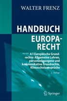 Walter Frenz - Handbuch Europarecht
