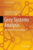 Jeffrey Yi-Lin Forrest, Sifeng Liu, Yingjie Yang - Grey Systems Analysis
