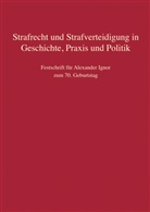 Camilla Bertheau, Werner Beulke, Matthias Jahn, Matthias Jahn (Prof. Dr.), Anke Müller-Jacobsen, Charlotte Schmitt-Leonardy... - Strafrecht und Strafverteidigung in Geschichte, Praxis und Politik
