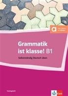 Arwen Dammann, Sarah Fleer, Arwen Schnack - Grammatik ist klasse! B1