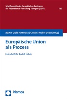 Martin Große Hüttmann, Probst-Dobler, Christine Probst-Dobler - Europäische Union als Prozess