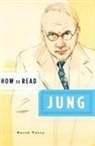 Simon Critchley, David Tacey, David J. Tacey, Simon Critchley - How to Read Jung