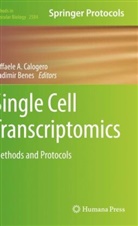 Raffaele A Calogero, Benes, Vladimir Benes, Raffaele A Calogero, Raffaele A. Calogero - Single Cell Transcriptomics