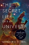 Nathalie A Cabrol, Nathalie A. Cabrol, Cabrol Nathalie A. - The Secret Life of the Universe