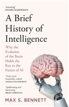 Max Bennett, Max S Bennett - A Brief History of Intelligence