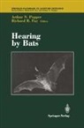 Richard R Fay, Richard R. Fay - Hearing by Bats