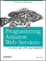 James Murty - Programming Amazon Web Services