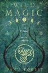 Danu Forest - Wild Magic