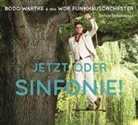 Bodo Wartke, WDR Funkhausorchester - Jetzt oder Sinfonie !, 1 Audio-CD (Hörbuch)