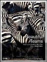 Jennifer Greene, Andrew Stellman - Beautiful Teams