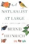 Bernd Heinrich - A Naturalist at Large