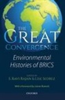 S Ravi Rajan, Lise Sedrez - The Great Convergence