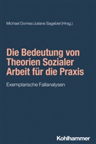 Rudolf Bieker, Michael Domes, Juliane Sagebiel - Die Bedeutung von Theorien Sozialer Arbeit für die Praxis
