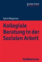 Sylvia Wagenaar, Rudolf Bieker, Engel, Heike Engel, Niemeyer, Heike Niemeyer - Kollegiale Beratung in der Sozialen Arbeit