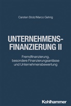 Marco Gehrig, Carsten Stolz - Unternehmensfinanzierung II