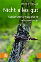 Günter Thomas - Nicht alles gut