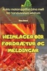 Jóhann Gíslason - HEIMLAGERÐIR FORDRÆTUR OG MELDINGAR