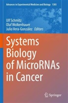 Ulf Schmitz, Julio Vera-González, Olaf Wolkenhauer - Systems Biology of MicroRNAs in Cancer