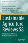 Madeeha Alamzeb, Madeeha Alamzeb et al, Muhammad Arif, Xiongming Du, Asif Iqbal, Mazhar Iqbal... - Sustainable Agriculture Reviews 58