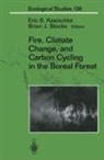 Eric S Kasischke, Eric S. Kasischke, Brian J Stocks, Brian J. Stocks - Fire, Climate Change, and Carbon Cycling in the Boreal Forest