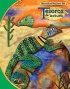 McGraw Hill - Tesoros de Lectura, a Spanish Reading/Language Arts Program, Grade 4, Student Book