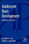 Michelle K Jetha, Michelle K. Jetha, Jetha Michelle K., Sidney Segalowitz, Segalowitz Sidney - Adolescent Brain Development