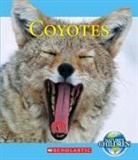 Jennifer Zeiger - Coyotes