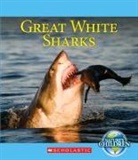 Josh Gregory - Great White Sharks