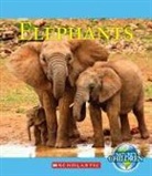 FRANCIS BRENNAN - Elephants